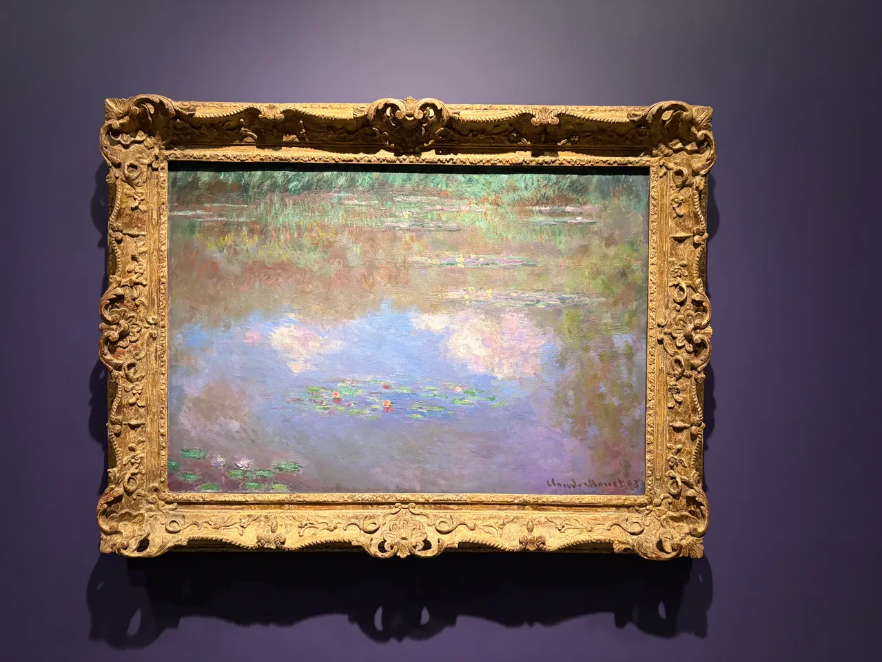 A close view of a colourful water-lily painting.